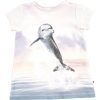 Clothing & Accessories Molo Baby 0-2 Years | Corina - Jumpimg Dolphins