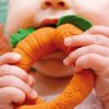 Toys & Play Oli & Carol Rattles & Teethers | Cathy The Carrot Teething Toy