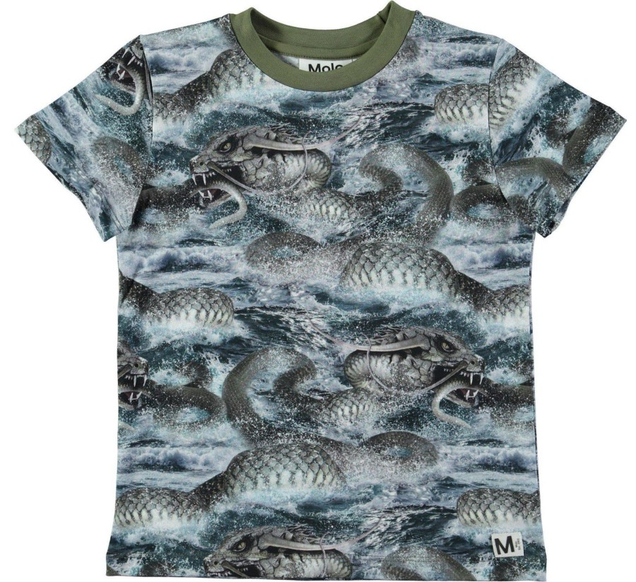 Clothing & Accessories Molo Boys 2-12 Years | Raymont T-Shirt - Midgard Serpent