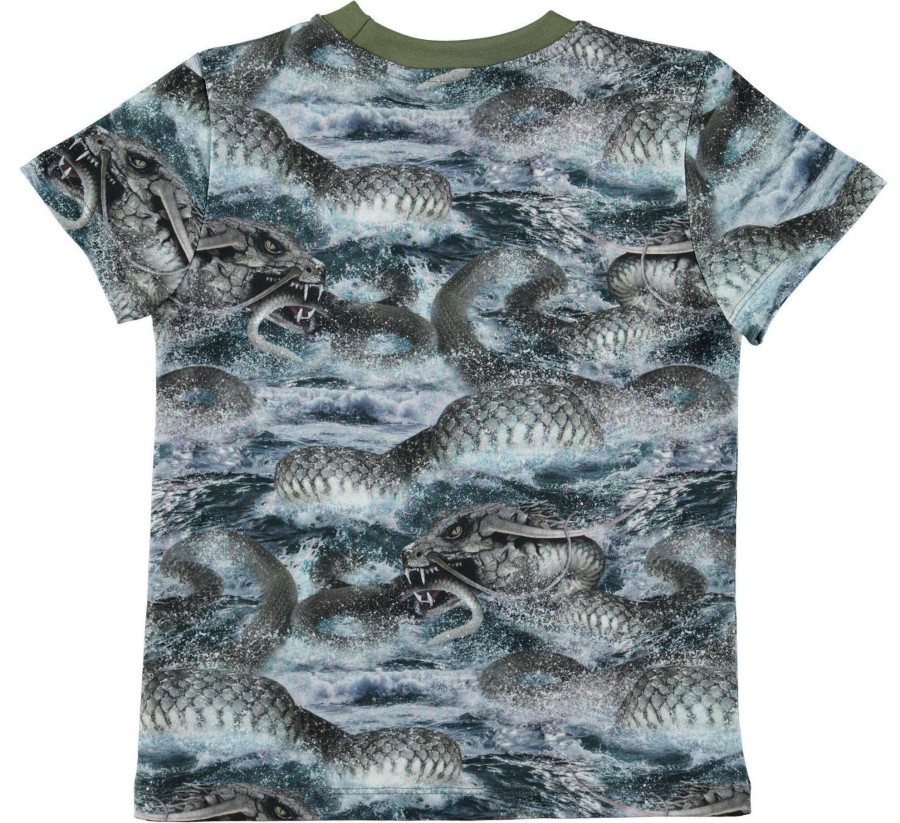 Clothing & Accessories Molo Boys 2-12 Years | Raymont T-Shirt - Midgard Serpent