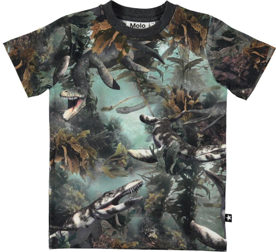 Clothing & Accessories Molo Boys 2-12 Years | Ralphie T-Shirt - Lake Monsters