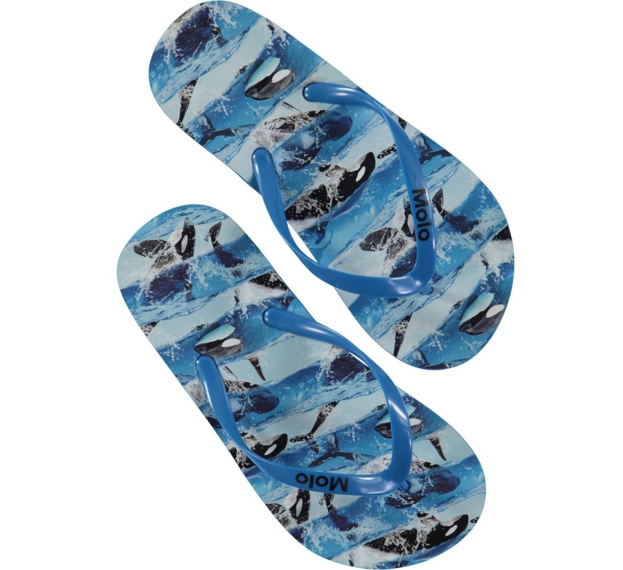 Clothing & Accessories Molo Sandals | Zeppo Flip Flops - Killer Whale