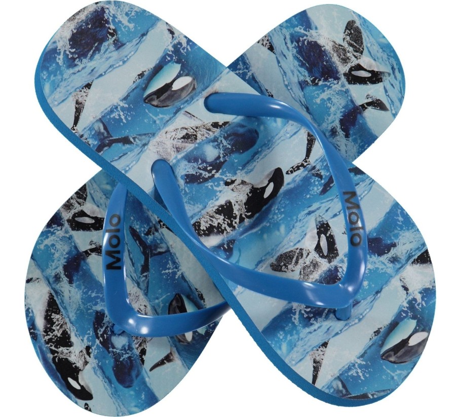 Clothing & Accessories Molo Sandals | Zeppo Flip Flops - Killer Whale