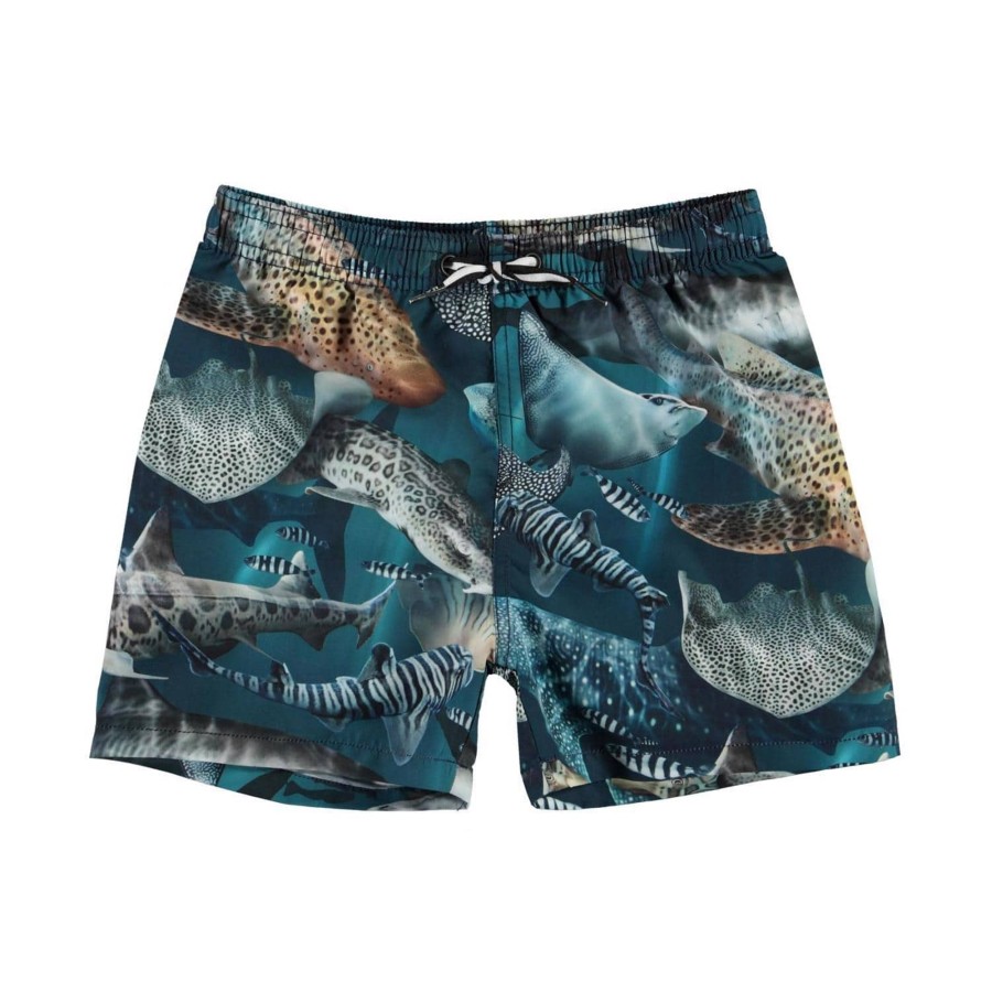 Clothing & Accessories Molo Swimwear | Niko Amazing Sharks