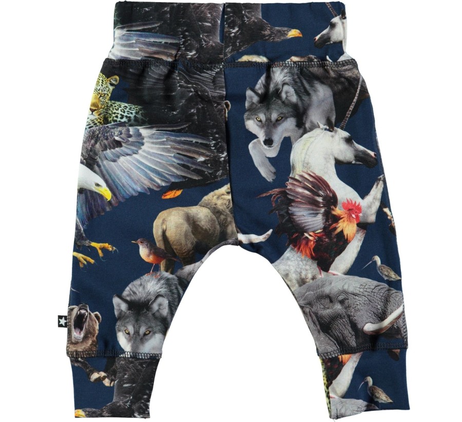 Clothing & Accessories Molo Baby 0-2 Years | Sammy National Animals Soft Pants